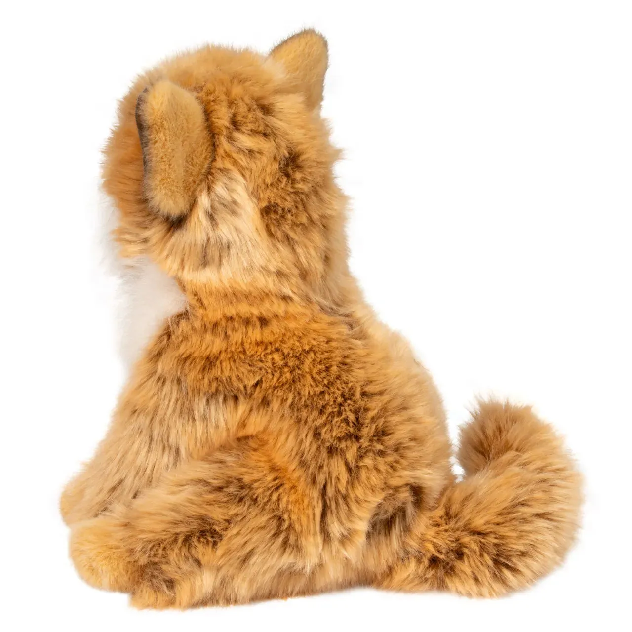 Dove Pomsky