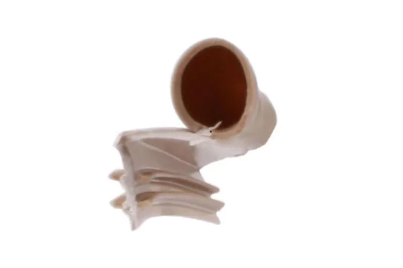 Kerf Window Bulb 1/4" Weatherseal