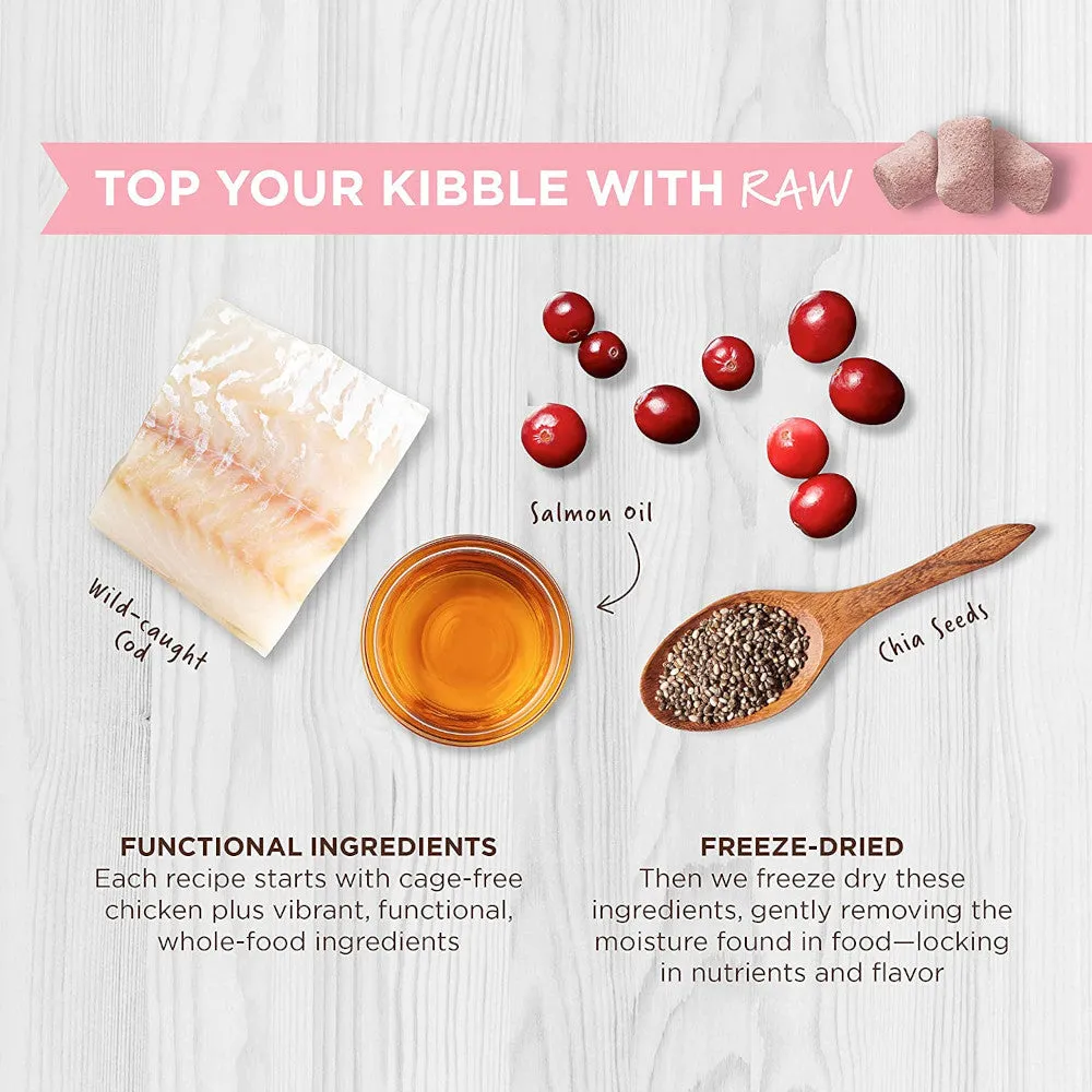 Raw Boost All Life Stages Freeze - Dried Skin & Coat Health Raw Mixers For Cats