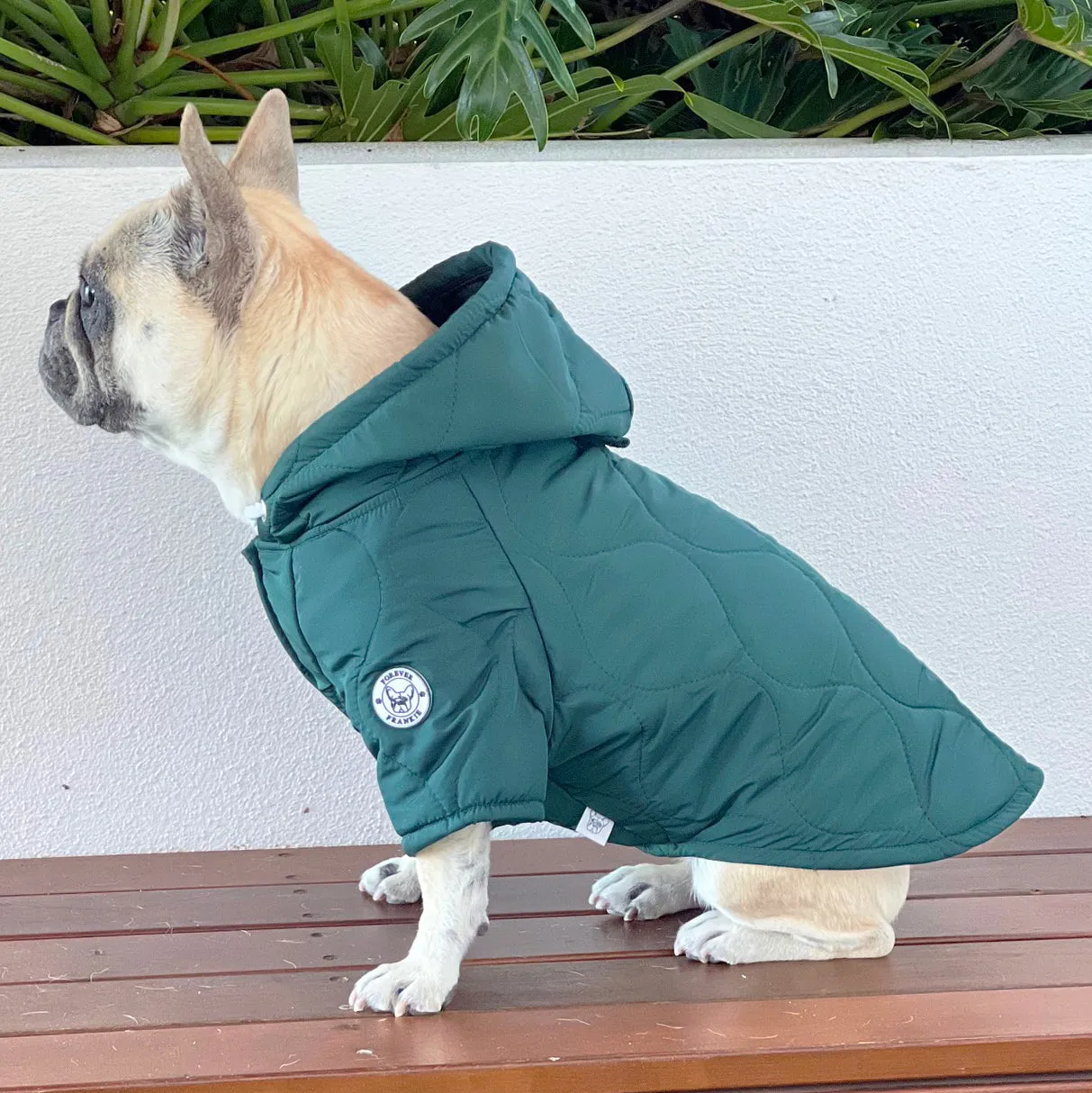 Wilderness Puffer Jacket