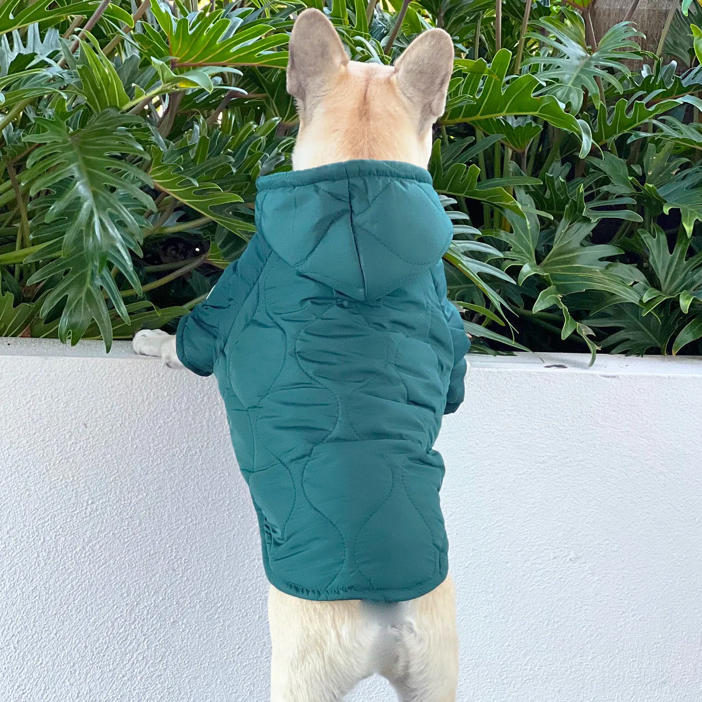 Wilderness Puffer Jacket