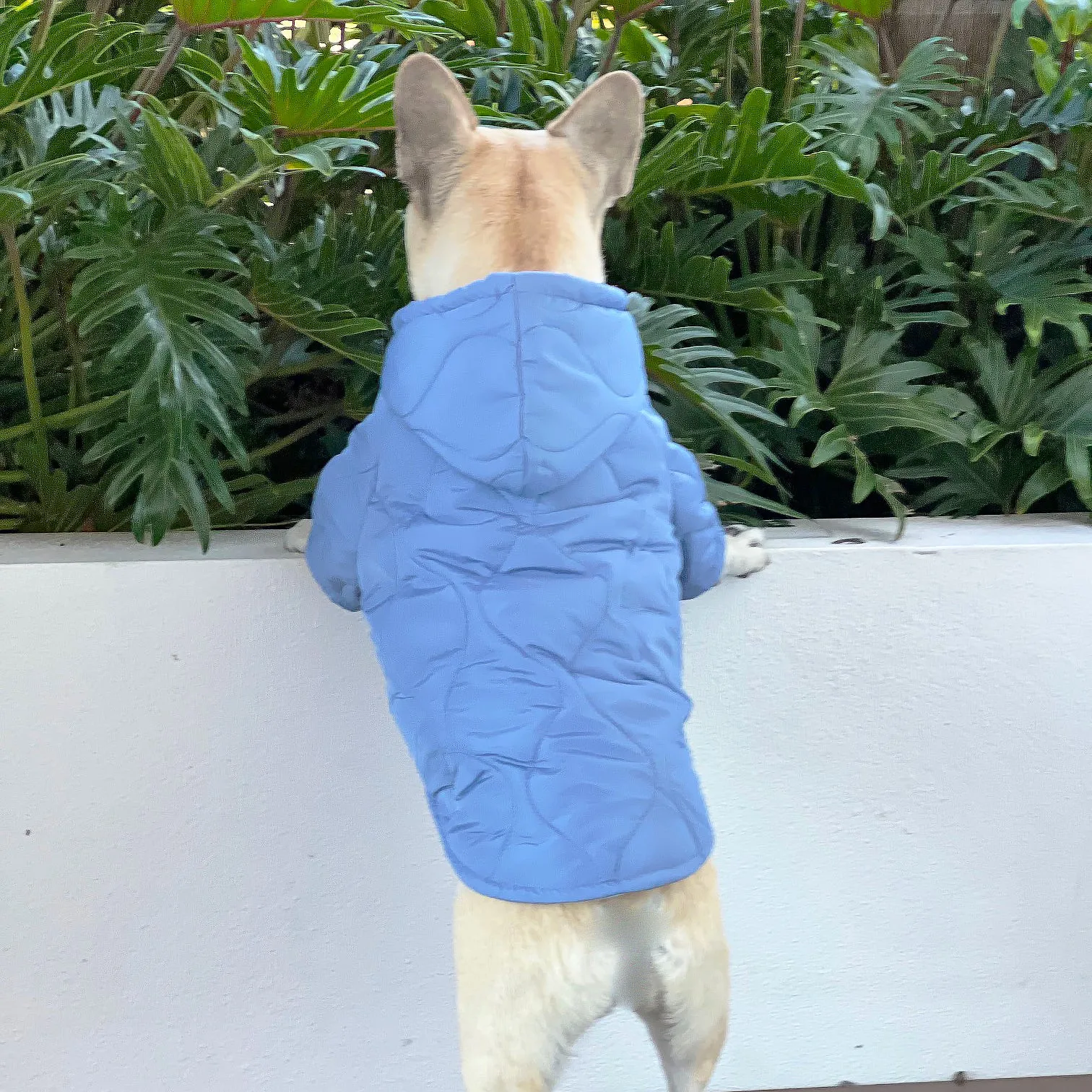 Winter Skye Puffer Jacket