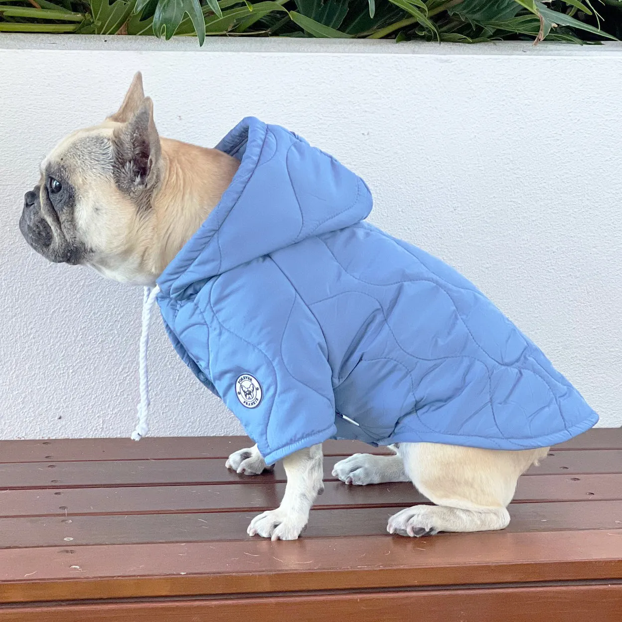 Winter Skye Puffer Jacket